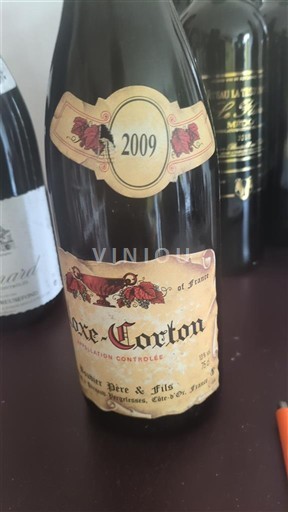 Borgonha Aloxe-Corton Grand Cru Dubreuil-Fontaine Père & Fils 2009