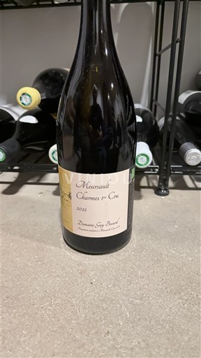 Burgundy Meursault Premier Cru Guy Bocard Charmes 2022