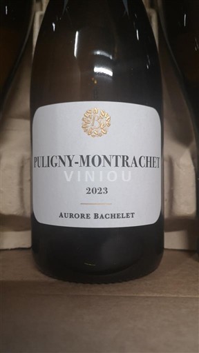 Bourgondië Puligny-Montrachet Aurore Bachelet 2023