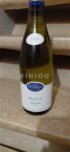 Burgundy Rully Duvernay Musigny's 2023