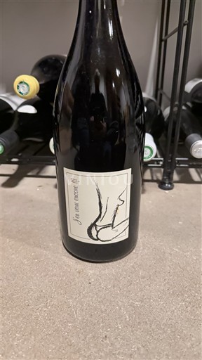 Jura Nicht spezifiziert Domaine Ganevat J’en veux encore!!! 2022