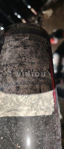 Borgoña Mercurey Premier Cru Domaine Patrick Guillot 2002 2002