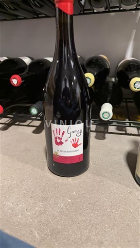 Bourgogne Bourgognebackar Domaine La petite empreinte Gamay 2022