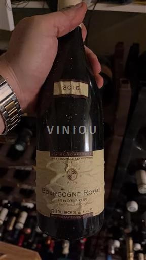 Burgundy Burgundy Rosé R. Dubois & Fils 2016