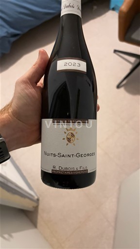 Borgoña Nuits-Saint-Georges R. Dubois & Fils 2023