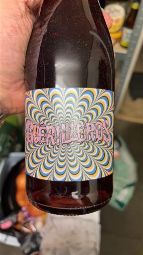 Valle del Loira No especificado Domaine S Grandes Espérances Guerrilleros Sin añada