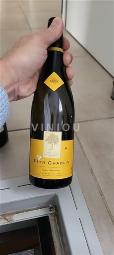 Burgundi Petit-chablis Domaine S Hâtes 2020