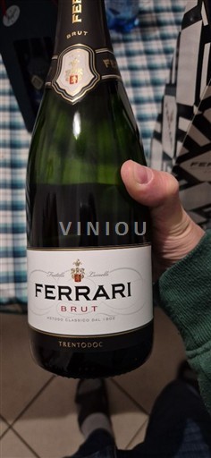 Trentin-Haut-Adige Ferrari Brut Non Millésimé