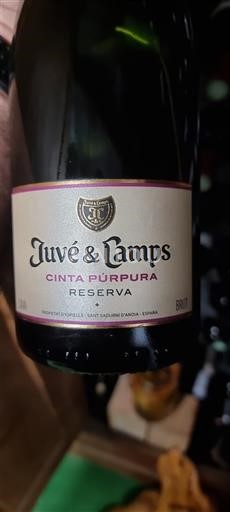 Katalonien Cava Juvé & Camps Cinta Púrpura Reserva 2019