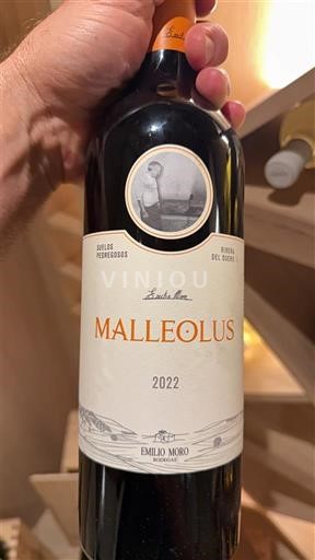 Castilien og León Ribera del Duero Emilio Moro Malleolus 2022