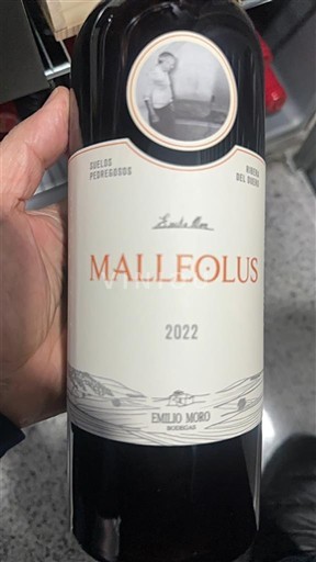 Castille et León Ribera del Duero Emilio Moro Malleolus 2022