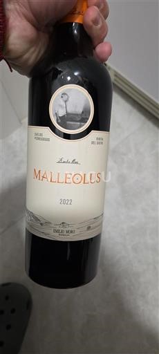 Castilië en León Ribera del Duero Emilio Moro Malleolus 2022