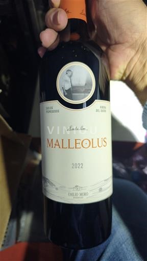 Castilia și León Ribera del Duero Emilio Moro Malleolus 2022