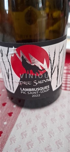 Langvedok Pic-saint-loup Lambrusques Esprit Sauvage 2022