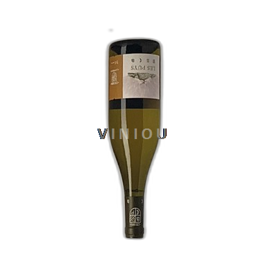 Loiren laakso Chinon Béatrice et Pascal Lambert Les Puys 2022