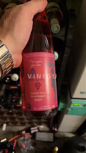 Valônia Não especificado Villers-La-Vigne Regent Rosé 2023