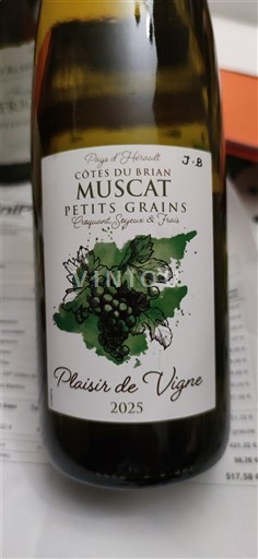 Languedoc-Roussillon Côtes du Brian Plaisir de Vigne 2025