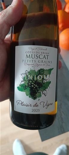 Languedoc in Roussillon Côtes du Brian Plaisir de Vigne 2025
