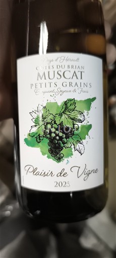 Лангедок и Русијон Брјанске обале Plaisir de Vigne 2025