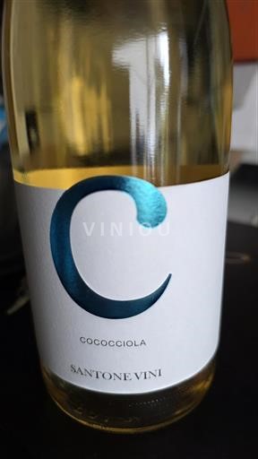 Abruzzes Santone Vini Cococciola 2023