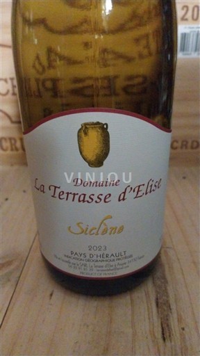 Languedoc Không được chỉ định Domaine La Terrasse d'Elise Siclène 2023