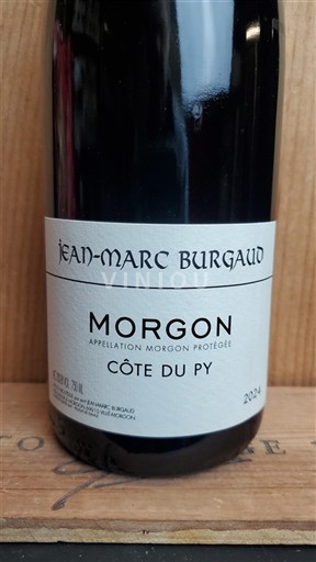 Божоље Моргон Jean-Marc Burgaud Côte du Py 2024