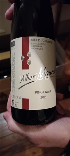 Alsacia Albert Maurer 2023