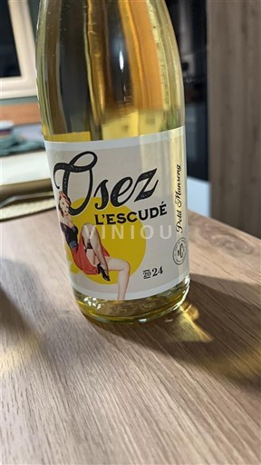 Zuidwest-Frankrijk Côtes de Gascogne L'Escudé Petit manseng 2024