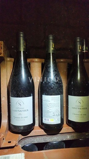 Loirevallei Saumur-champigny Domaine Saint Sauveur 2023