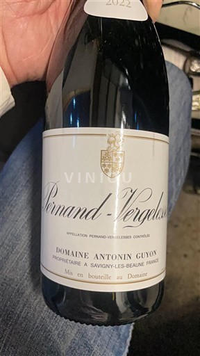 Burgundija Pernand-Vergelesses Domaine Antonin Guyon 2022