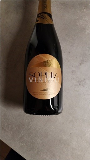 Emilie-Romagne Tenute Venturini Foschi Sophia Non Millésimé