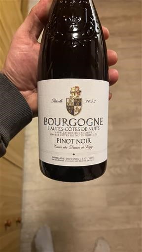 Burgundsko Hautes Côtes de Nuits Domaine Dominique Guyon des Dames de Nuits 2023