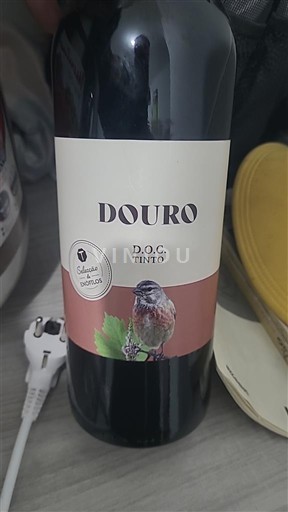 Douro Touriga 2021