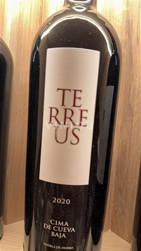 Castilien og León Ribera del Duero Bodegas Pago de Terrerazo Terreus 2020