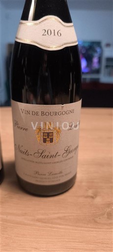 Burgundy Nuits-Saint-Georges Pierre Levée 2016