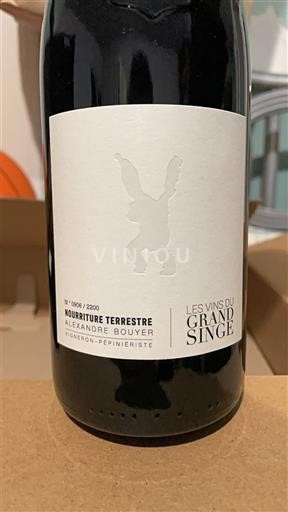 Dolina Loare Sancerre Les Vins du Grand Singe Nourriture Terrestre 2023