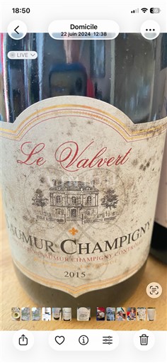 Lugina e Luarës Saumur-champigny Le Valvert 2015