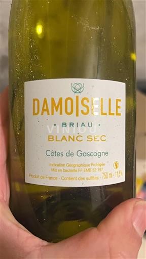 Zuidwest-Frankrijk Côtes de Gascogne Briau Damoiselle Niet-geïntegreerd