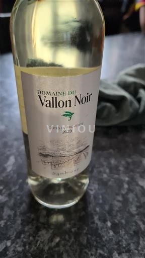 Provansa Côtes-de-Provence Domaine Vallon Noir Sambucus 2023