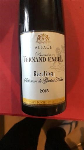 Alsazia Riesling Sélection de Grains Nobles Domaine Fernand Engel Sélection de Grains Nobles 2015