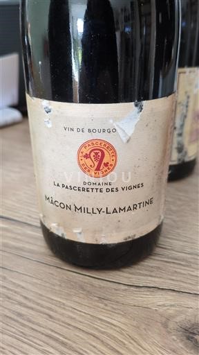Burgundi Mâcon ja Mâcon-kylät Domaine La Pascarette des Vignes 2020