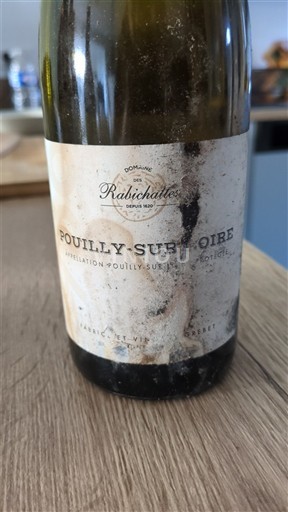 Vallée de la Loire Pouilly-sur-loire Domaine S Rabichattes 2021