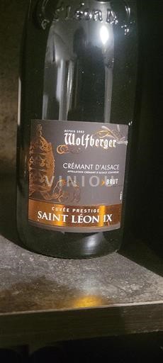 Alsace Alsace-kuohuviini Wolfberger Saint Léon IX 2023