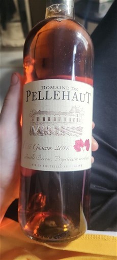Sydvestfrankrig Côtes de Gascogne Domaine Pellehaut 2016