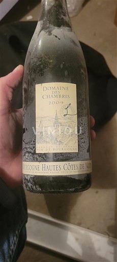 Burgund Nicht spezifiziert Domaine Des Chambris 2009