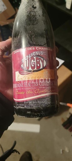 Burgund Nicht spezifiziert Domaine Des Chambris du Centenaire 2010