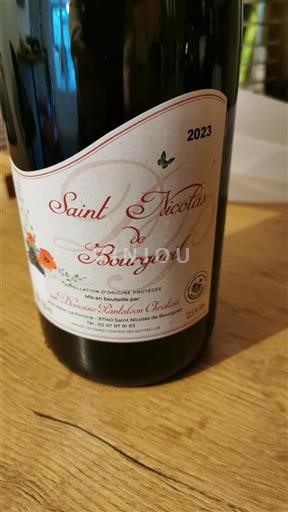Loire-dalen Saint-Nicolas-De-Bourgueil Domaine Pantaléon Christian 2023
