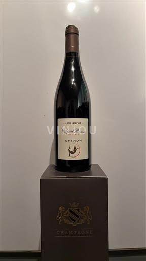 Valle della Loira Chinon Wilfrid Rousse Les Puys 2022