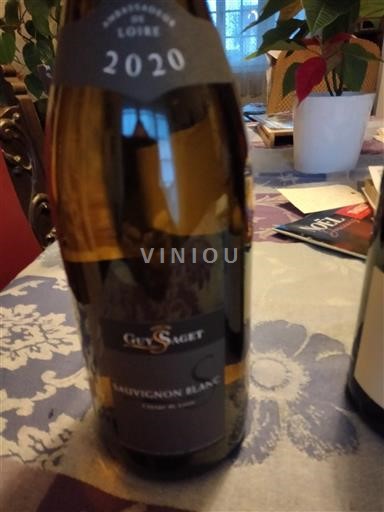 Dolina Loare Guy Saget 2020