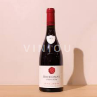 Burgund Nicole Lamarche 2020